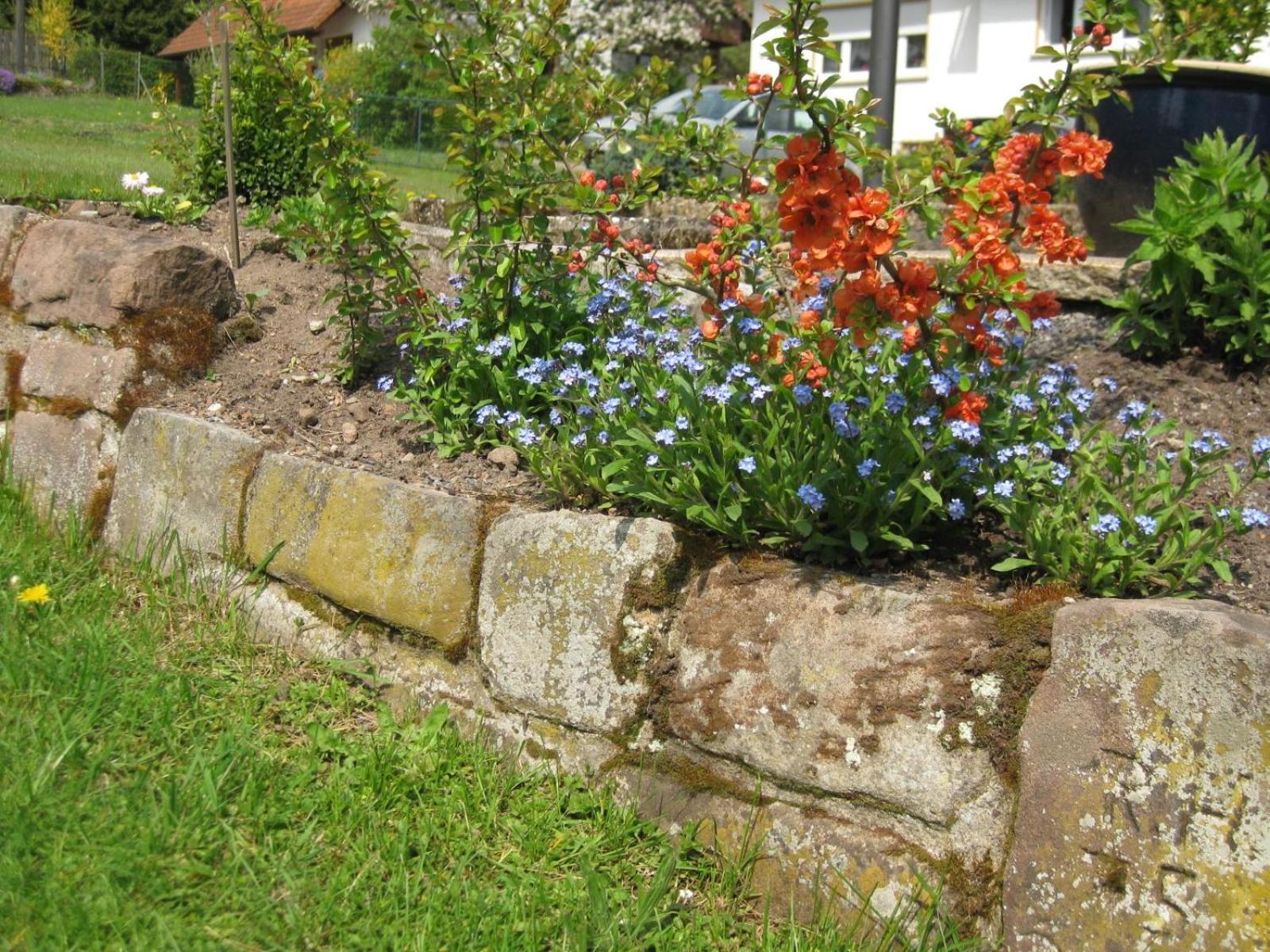 Haus Muehlgrund Apartment Bad Wildbad Ngoại thất bức ảnh